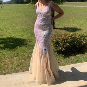 Nude/ Iridescent Gown. Size 4